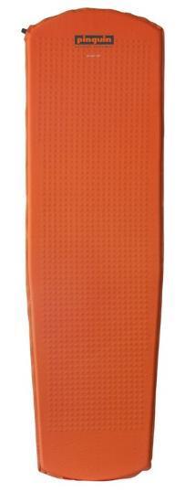 25 حصيرة قابلة للنفخ من بينجوين